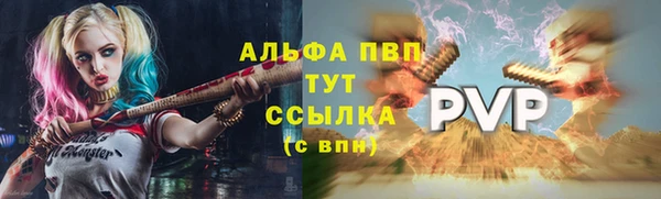 амф Бородино