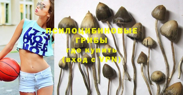 экстази Богородицк