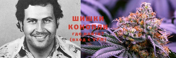 амф Бородино