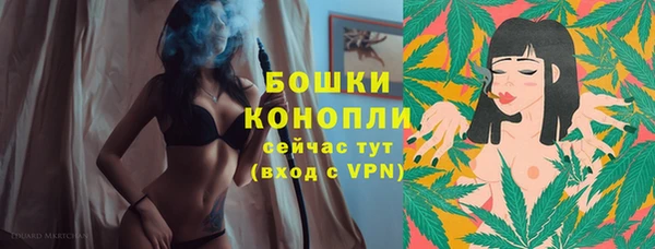 соль ск Богданович