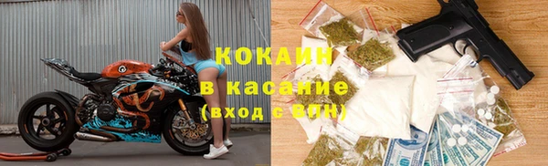 соль ск Богданович
