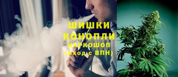 прущие грибы Саяногорск